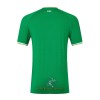 Officiële Voetbalshirt Ierland Thuis 2023 - Heren